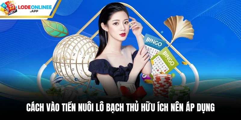 Cách Vào Tiền Nuôi Lô Bạch Thủ Hữu Ích Nên Áp Dụng 