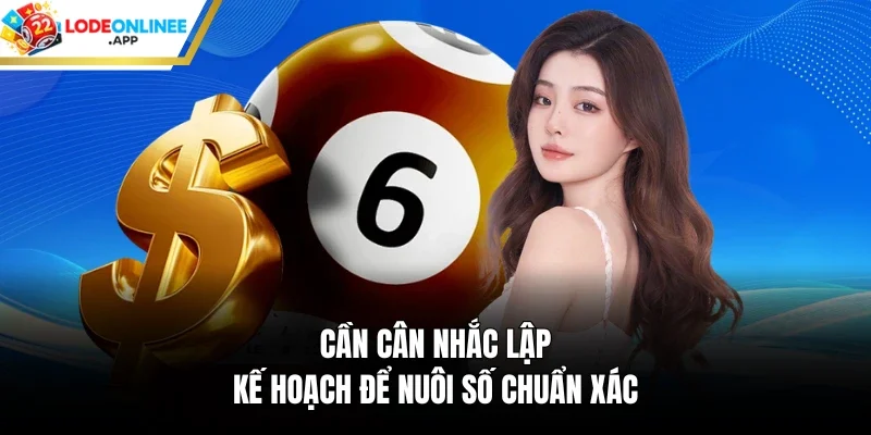 Cần cân nhắc lập kế hoạch để nuôi số chuẩn xác