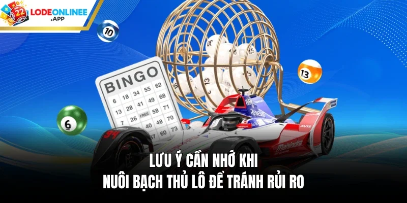Lưu ý cần nhớ khi nuôi bạch thủ lô để tránh rủi ro