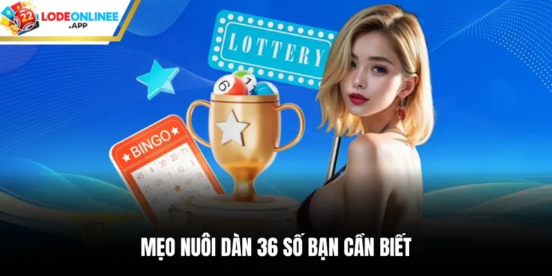 Mẹo nuôi dàn 36 số bạn cần biết