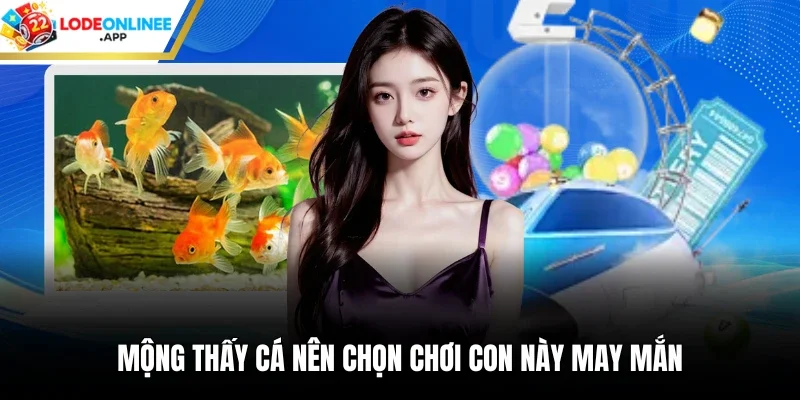 Mộng thấy cá nên chọn chơi con này may mắn