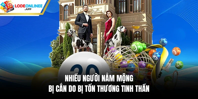 Nhiều người nằm mộng bị cắn do bị tổn thương tinh thần